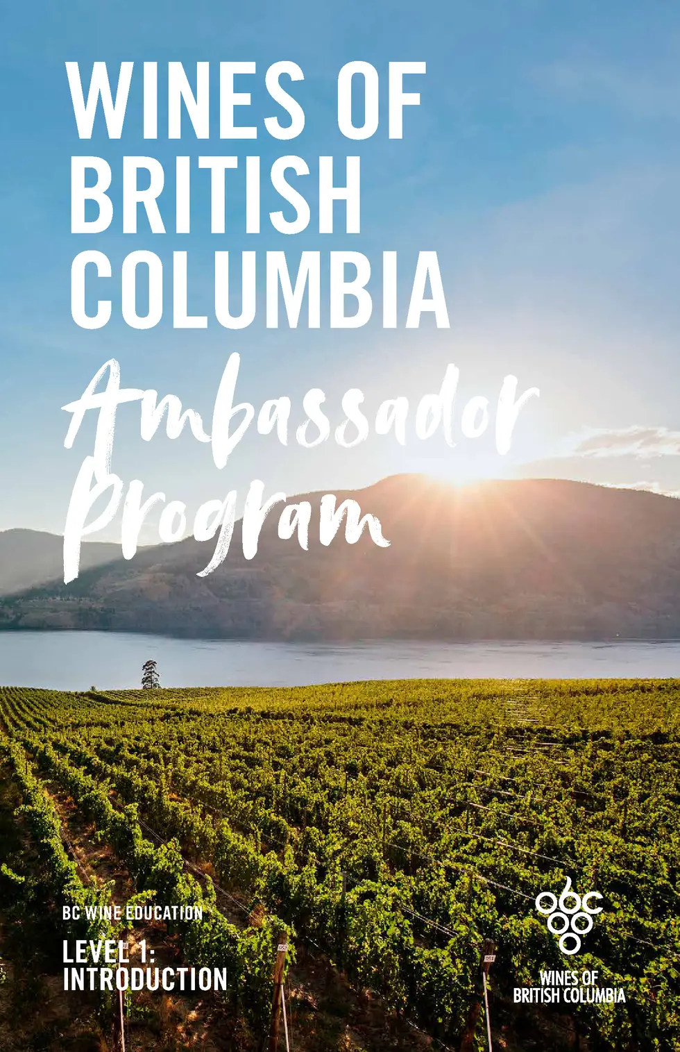 Ambassador Program - Level One